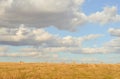 Perfect Harvest Landscape Royalty Free Stock Photo