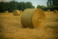 Harvest landscape with straw bales Royalty Free Stock Photo