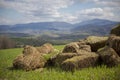 Perfect Harvest Landscape Royalty Free Stock Photo