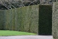 A perfect country garden hedge