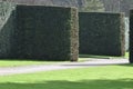 A perfect country garden hedge