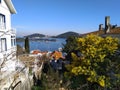 Perfect holiday view hill to sea, island and blooming trees