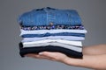 Perfect ironed female clothes