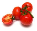 Perfect juicy tomatoes 3 Royalty Free Stock Photo