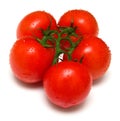 Perfect juicy tomatoes 4 Royalty Free Stock Photo
