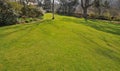 Perfect lawn