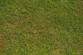 Perfect lawn with green grass view from above Royalty Free Stock Photo