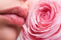 Perfect Lips. Sexy Girl Mouth close up. Beauty young woman Smile. Natural plump full Lip. Beautiful woman lips with rose Royalty Free Stock Photo