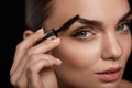 Perfect Makeup For Beautiful Woman. Brow Care For Eyebrows Royalty Free Stock Photo