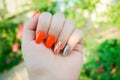 Perfect manicure and natural nails. Attractive modern nail art design. orange autumn design. long well-groomed nails Royalty Free Stock Photo