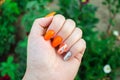 Perfect manicure and natural nails. Attractive modern nail art design. orange autumn design. long well-groomed nails Royalty Free Stock Photo