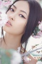 Portrait of a beautiful asian girl outdoors against spring blossom tree. Royalty Free Stock Photo