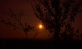 Perfect moon light at night after sunset