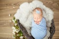 Perfect newborn baby girl in blue blanket in a wicker basket decorated with branches