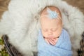 Perfect newborn baby girl in blue blanket in a wicker basket decorated with branches