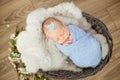 Perfect newborn baby girl in blue blanket in a wicker basket decorated with branches