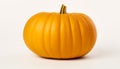 Perfect orange pumpkin isolated on a white background