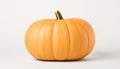 Perfect orange pumpkin isolated on a white background