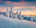 Perfect outdoor scene of winter mountains. Magnificent sunset in Carpathians, Ukraine, Europe. Snowy evening view of mountain vall
