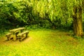 Perfect Picnic Location Royalty Free Stock Photo