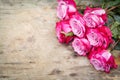 Perfect pink rose flower on wood outdoors Royalty Free Stock Photo