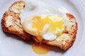 Perfect poached egg Royalty Free Stock Photo