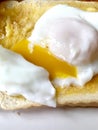 Egg on toast Royalty Free Stock Photo