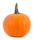 Perfect pumpkin over white