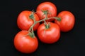 Perfect Red Tomato Bunch Royalty Free Stock Photo