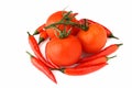 Perfect red wet tomatoes with chillies Royalty Free Stock Photo