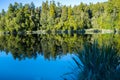 Perfect reflection in Lake Matheson surrounded by beautiful natural forest under blue sky Royalty Free Stock Photo