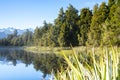 Perfect reflection in Lake Matheson surrounded by beautiful natural forest under blue sky Royalty Free Stock Photo