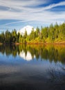 Perfect reflection in mirror lake Royalty Free Stock Photo