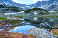 Perfect reflection in a mountain lake Pietrele Lake, Retezat mountains, with brown moss at shore, rocks in clear water. Royalty Free Stock Photo