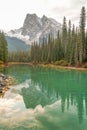 Perfect reflection of sharp mountain peaks and pine trees in the blue water of Emerald Lake - vertical