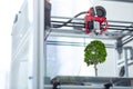 Close up of 3D printer creating tree model Royalty Free Stock Photo