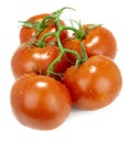 Perfect ripe red tomatoes