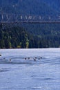 Perfect sailing canoes and kayaks on scenic Columbia River Gorge Royalty Free Stock Photo