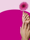 Perfect set of acrylic nails and pink flower