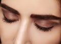 Perfect shape of eyebrows, brown eyeshadows and long eyelashes. Closeup macro shot of fashion smoky eyes visage Royalty Free Stock Photo