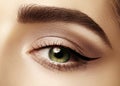 Perfect shape of eyebrows, brown eyeshadows and long eyelashes. Closeup macro shot of fashion smoky eyes visage Royalty Free Stock Photo
