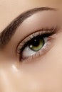 Perfect shape of eyebrows, brown eyeshadows and long eyelashes. Closeup macro shot of fashion smoky eyes visage Royalty Free Stock Photo