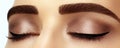 Perfect shape of eyebrows, brown eyeshadows and long eyelashes. Closeup macro shot of fashion smoky eyes visage Royalty Free Stock Photo