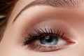 Perfect shape of eyebrows, brown eyeshadows and long eyelashes. Closeup macro shot of fashion smoky eyes visage Royalty Free Stock Photo