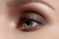 Perfect shape of eyebrows, brown eyeshadows and long eyelashes. Closeup macro shot of fashion smoky eyes visage Royalty Free Stock Photo