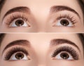 Perfect shape of eyebrows and extremly long eyelashes. Macro shot of fashion eyes visage. Before and after Royalty Free Stock Photo