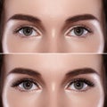 Perfect shape of eyebrows and extremly long eyelashes. Macro shot of fashion eyes visage. Before and after Royalty Free Stock Photo