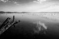 Perfect sky and clouds reflections on a lake, with a tree trunk Royalty Free Stock Photo