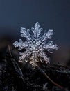 Perfect Snowflake - A Winter Macro Marvel Royalty Free Stock Photo