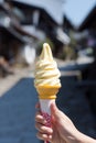 Soft served chest nut ice cream Royalty Free Stock Photo